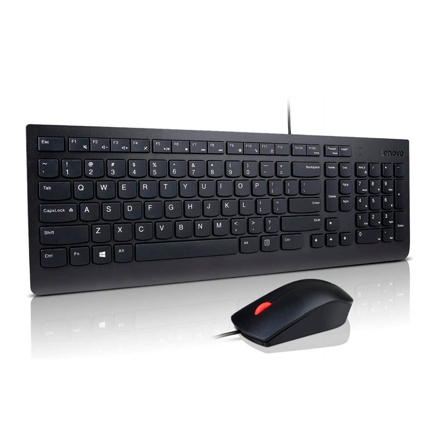 Kit Teclado + Mouse Lenovo Essential Alámbrico 4X30L79907 - LifeMax Distribuidora